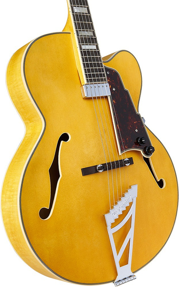 新品 エレキギター フルアコ ディアンジェリコ D'Angelico Premier EXL-1