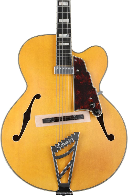 新品 エレキギター フルアコ ディアンジェリコ D'Angelico Premier EXL-1