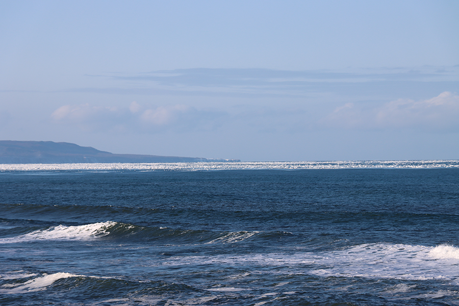 オホーツク・小清水町浜小清水に接岸しつつあるの流氷