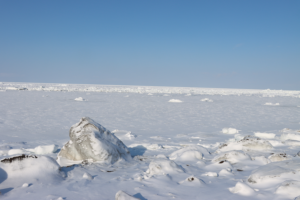 北海道・オホーツク 流氷接岸 浜小清水・フレトイ海岸【動画もあります！】（2024年2月16日）
