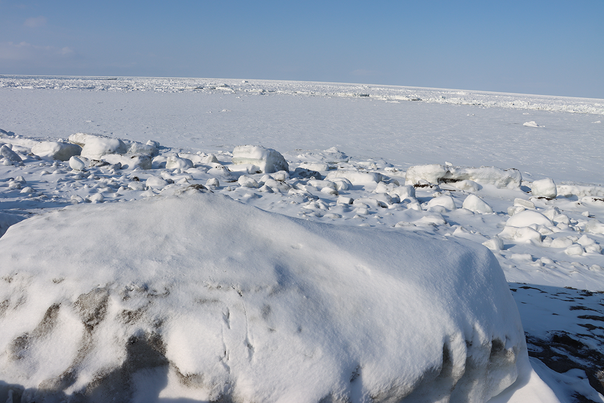 北海道・オホーツク 流氷接岸 浜小清水・フレトイ海岸【動画もあります！】（2024年2月16日）
