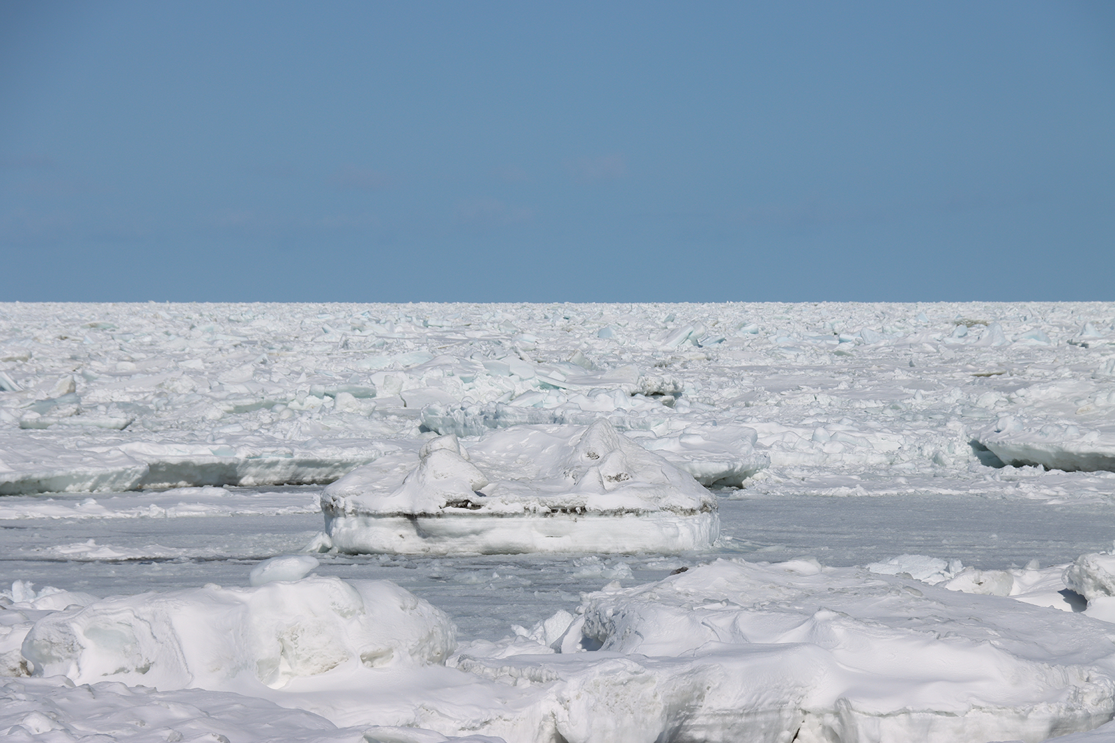 北海道・オホーツク 流氷接岸 浜小清水・フレトイ海岸【動画もあります！】（2024年2月29日）