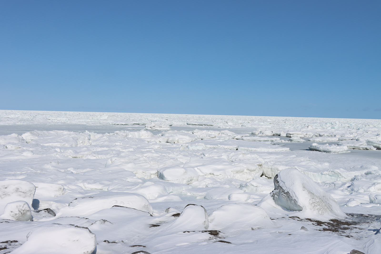 北海道・オホーツク 流氷接岸 浜小清水・フレトイ海岸【動画もあります！】（2024年2月29日）