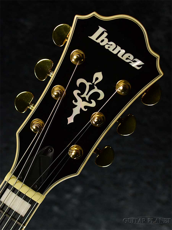 新品 エレキギター フルアコ アイバニーズ Ibanez Artcore Expressionist AF95FM
