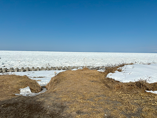 北海道 オホーツク 浜小清水 フレトイ海岸 戻ってきた流氷 2024年3月16日
