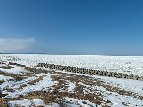 北海道 オホーツク 浜小清水 フレトイ海岸 戻ってきた流氷 2024年3月16日

