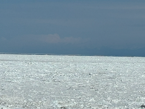 北海道 オホーツク 浜小清水 フレトイ海岸 戻ってきた流氷 2024年3月16日
