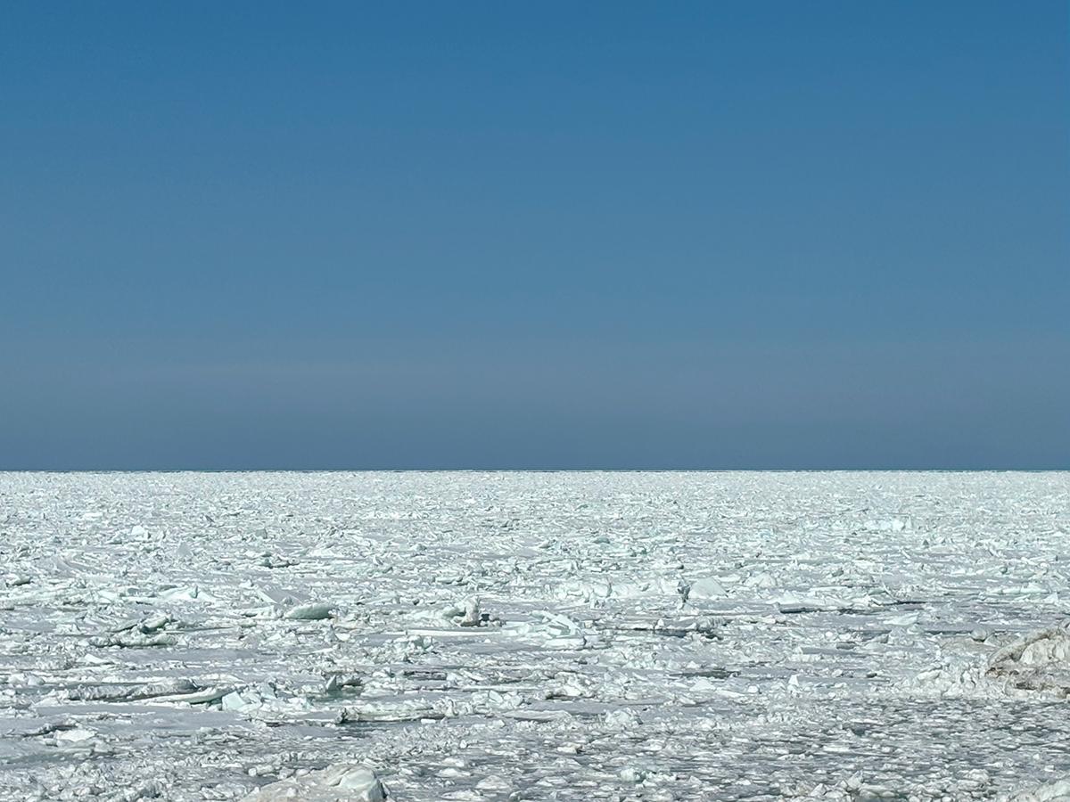 北海道 オホーツク 浜小清水 またまた戻ってきた流氷！2024年3月19日