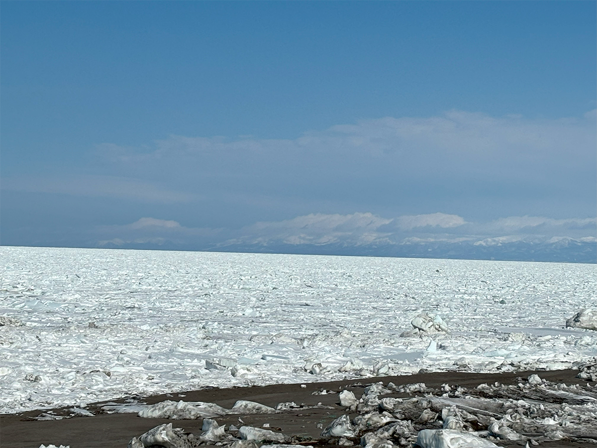 北海道 浜小清水 3月の後半で大接岸！2024年3月22日