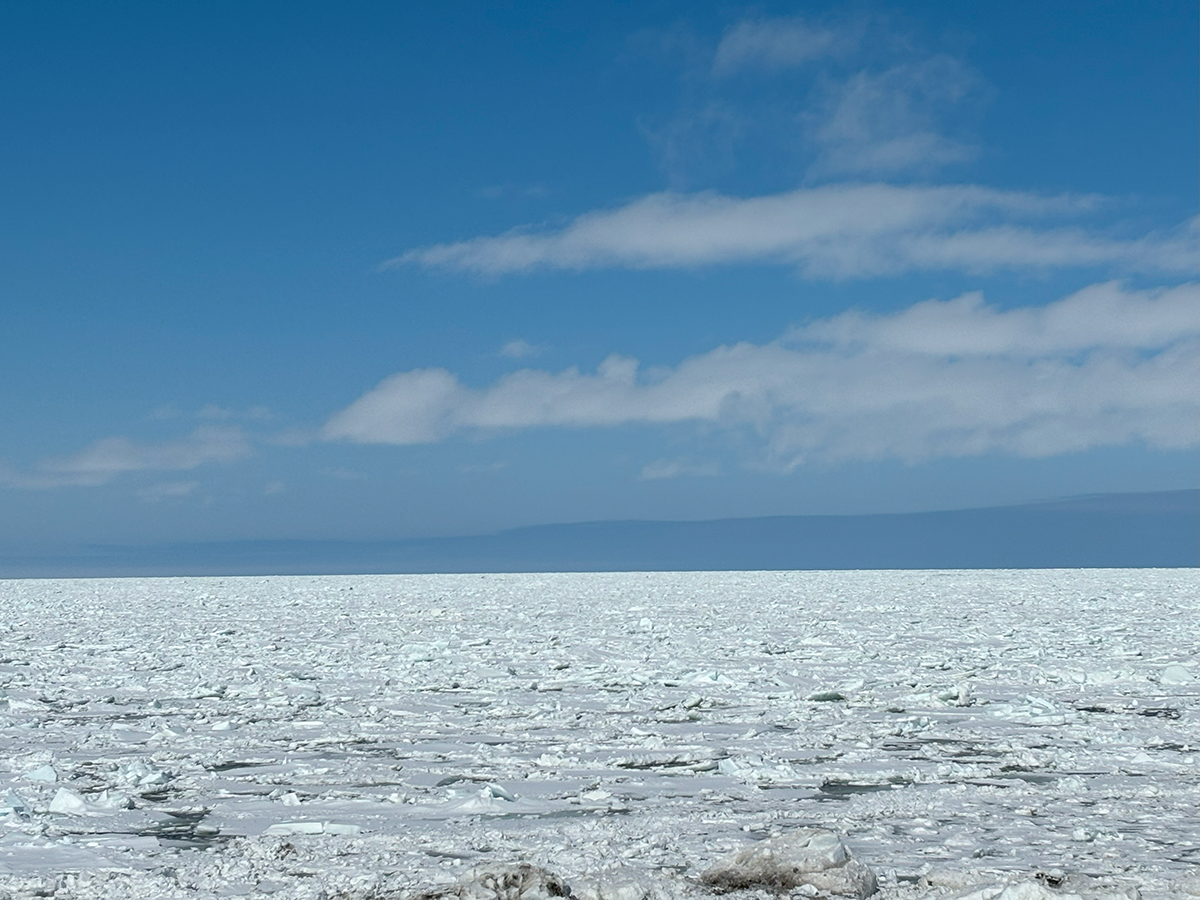 北海道 浜小清水 3月の後半で大接岸！2024年3月22日