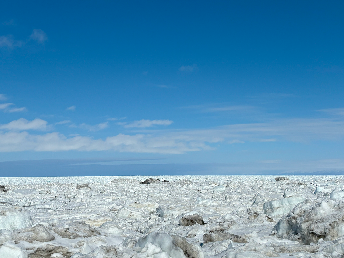 北海道 浜小清水 3月の後半で大接岸！2024年3月22日