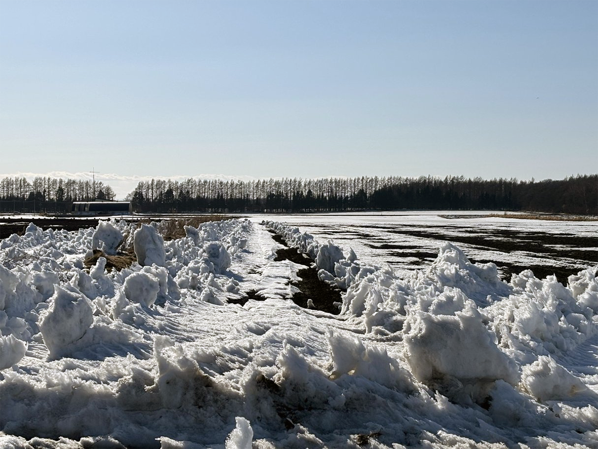 撮影地にて、除雪をすすめる光景に出くわしたので撮影しておきました。