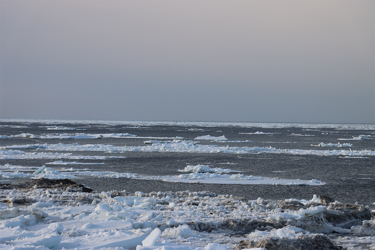 北海道 オホーツク 浜小清水 フレトイ海岸 流氷は沖へ！2024年3月28日