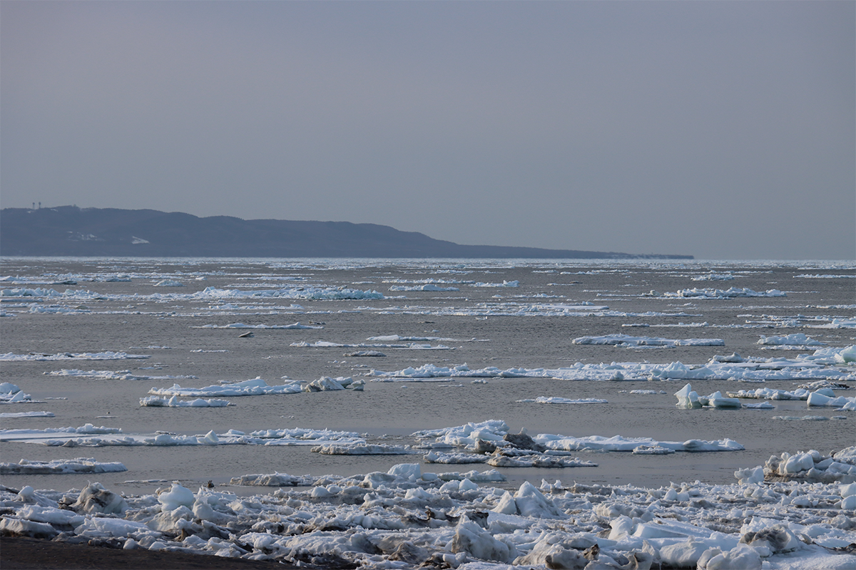北海道 オホーツク 浜小清水 フレトイ海岸 流氷は沖へ！2024年3月28日