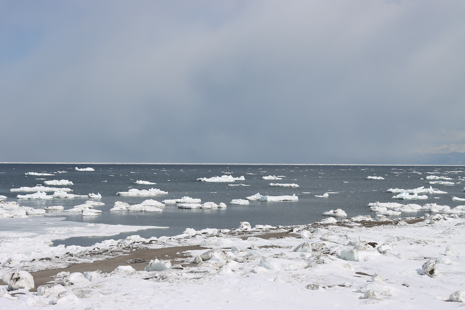 北海道 オホーツク 流氷 浜小清水 フレトイ海岸 沖へ遠ざかった！【動画あり】（2024年3月4日）