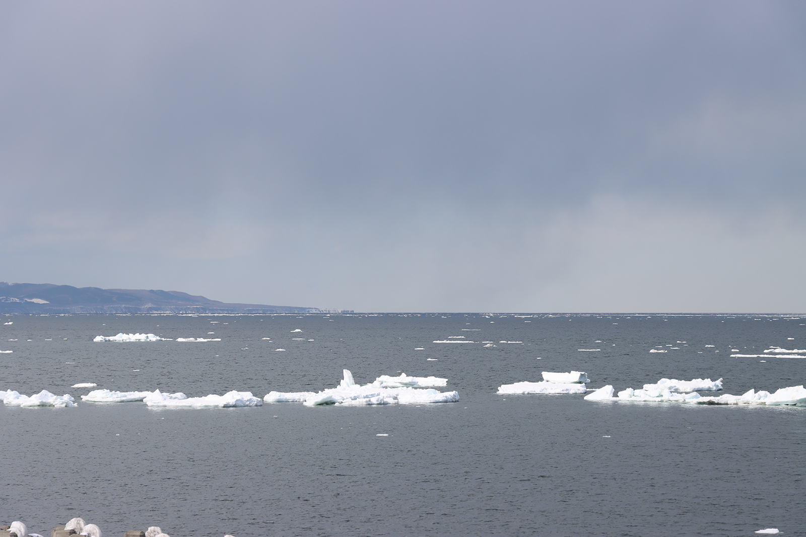 北海道 オホーツク 流氷 浜小清水 フレトイ海岸 沖へ遠ざかった！【動画あり】（2024年3月4日）