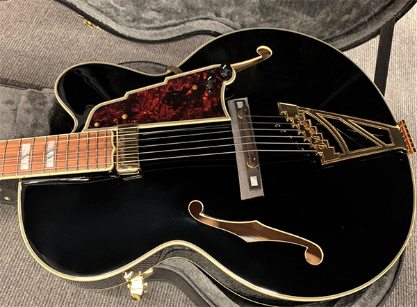 新品 エレキギター フルアコ ディアンジェリコ D'Angelico Excel EXL-1 Throwback Viola

