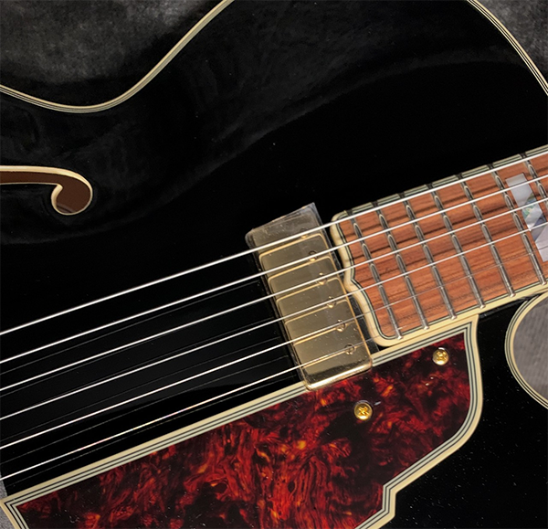 新品 エレキギター フルアコ ディアンジェリコ D'Angelico Excel EXL-1 Throwback Viola
