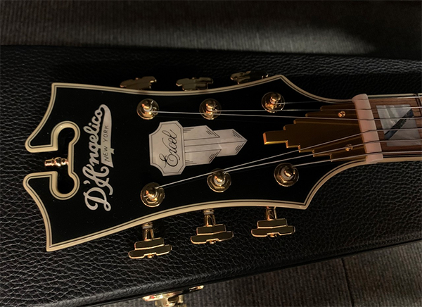 新品 エレキギター フルアコ ディアンジェリコ D'Angelico Excel EXL-1 Throwback Viola
