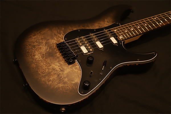 新品 エレキギター SD-2-24-AS-VTR-BR シェクター SCHECTER