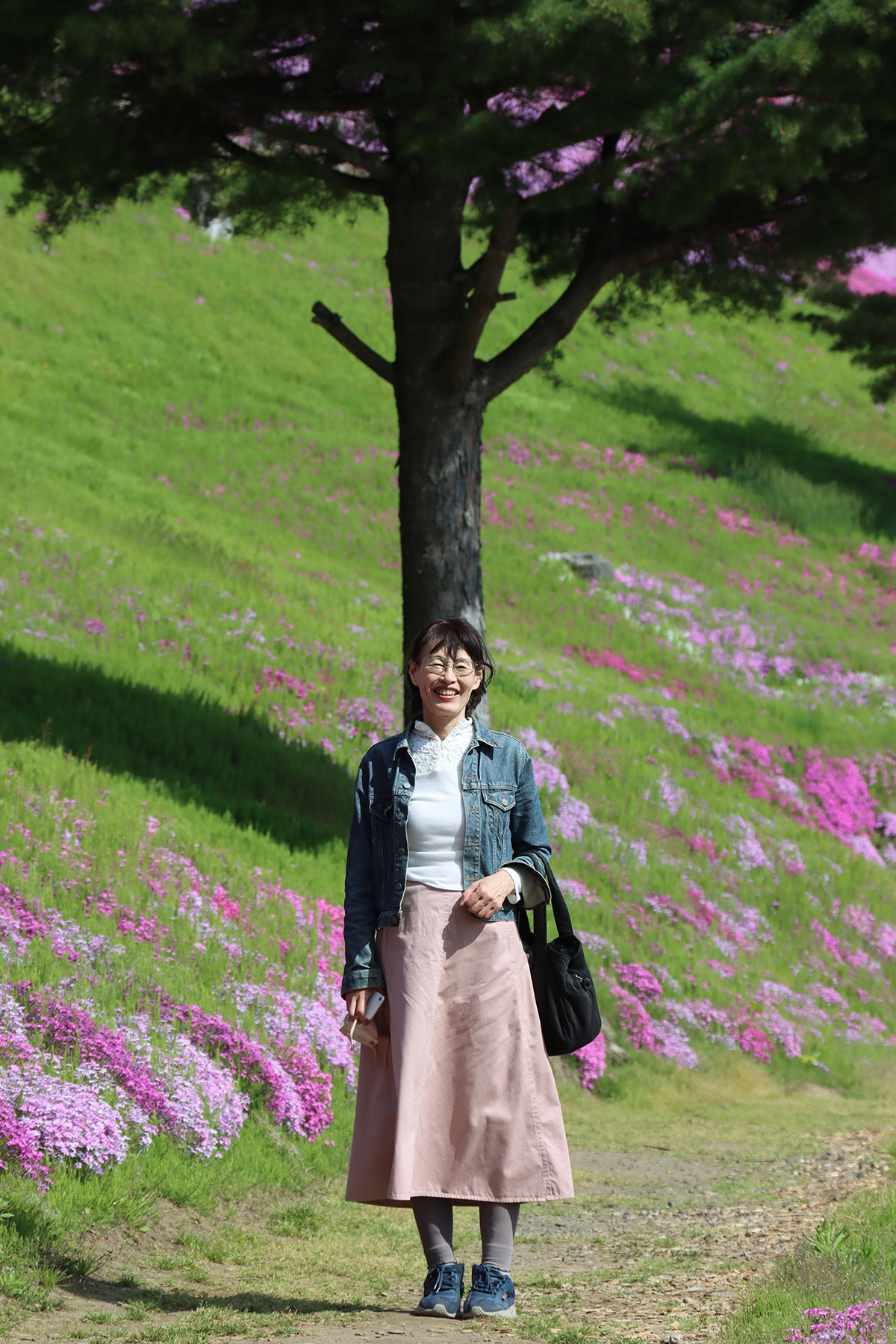 天気の良い日に北海道・オホーツク・大空町の東藻琴の芝桜公園にいきました！2024年6月2日