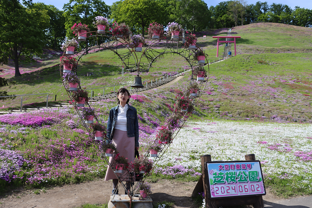 天気の良い日に北海道・オホーツク・大空町の東藻琴の芝桜公園にいきました！2024年6月2日