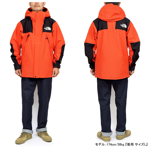 メンズ アウトドア マウンテン ジャケット ゴアテックス ノースフェイス