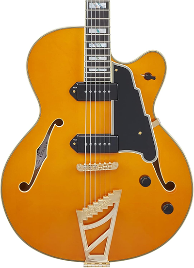 新品 エレキギター フルアコ ディアンジェリコ エクセル59 D'Angelico Excel 59