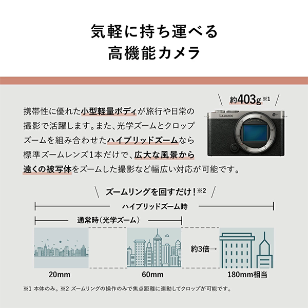 カメラ デジタル ミラーレス パナソニック Panasonic LUMIX S9 レンズ 18-40mm