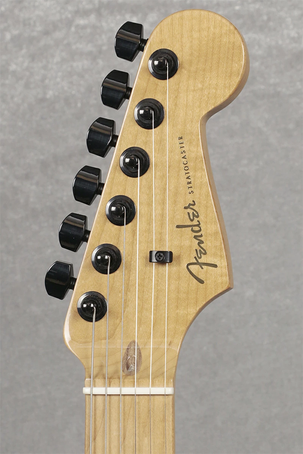 新品 エレキギター フェンダー ストラトキャスター Fender American ProfessionalII Gold Night