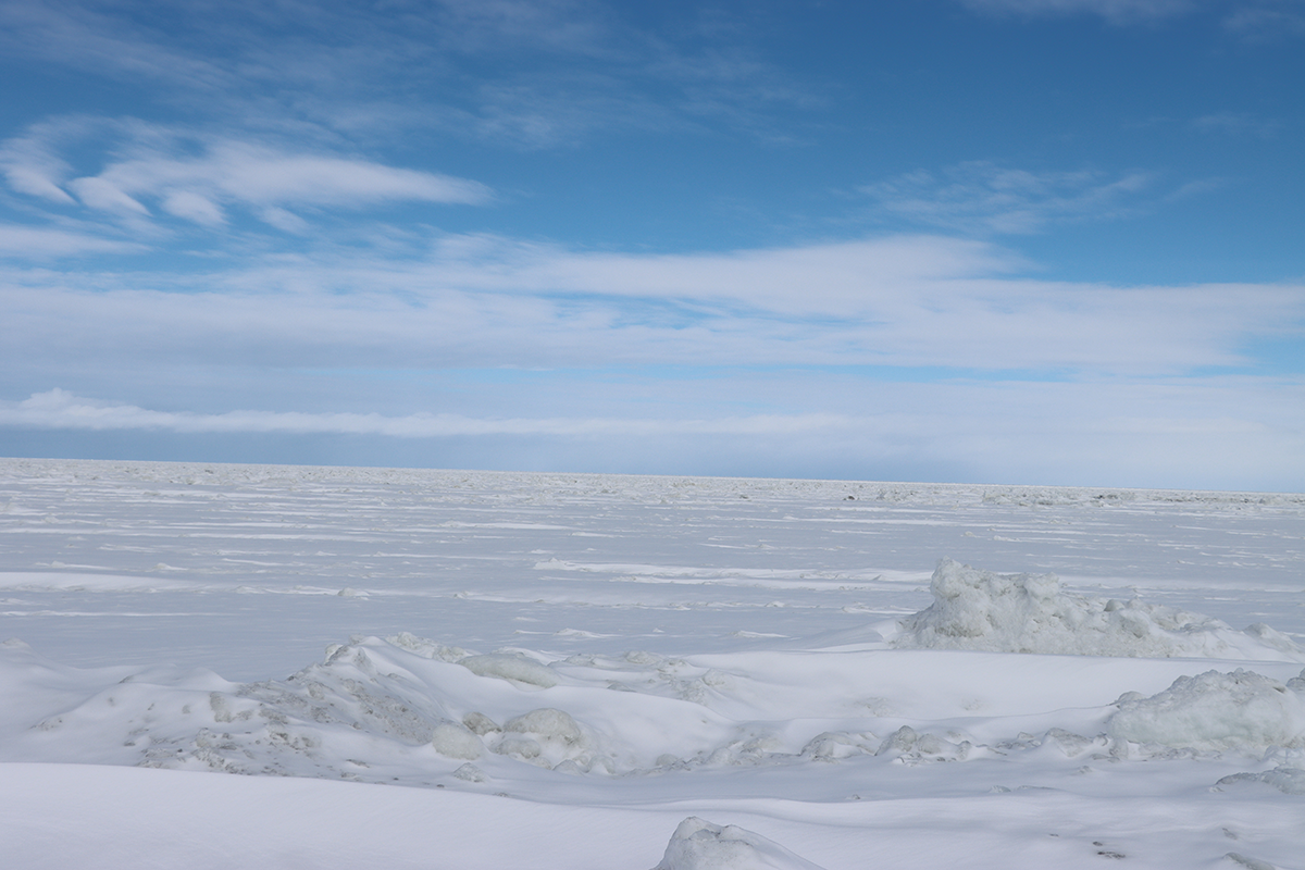 2025年2月21日 北海道・浜小清水・フレトイ海岸 流氷接岸
