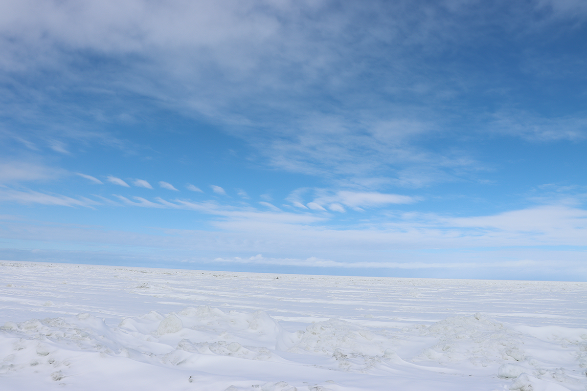 2025年2月21日 北海道・浜小清水・フレトイ海岸 流氷接岸