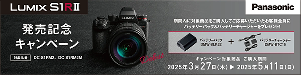 カメラ 新品 ミラーレス パナソニック LUMIX S1RII レンズ 24-105mm