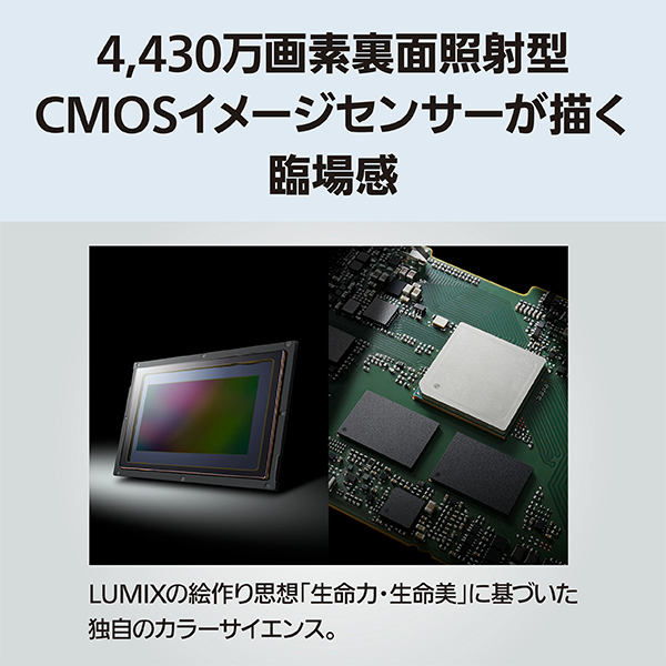 カメラ 新品 ミラーレス パナソニック LUMIX S1RII レンズ 24-105mm