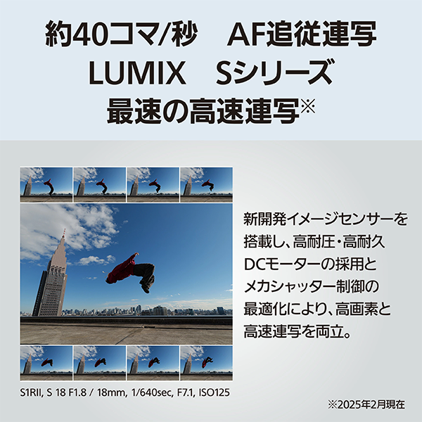 カメラ 新品 ミラーレス パナソニック LUMIX S1RII レンズ 24-105mm