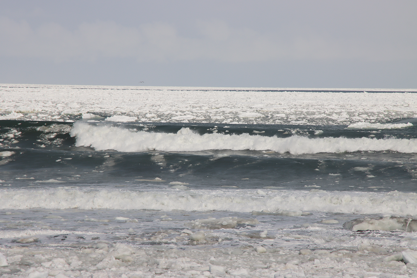 北海道・浜小清水・フレトイ海岸 流氷再々接岸 2025年3月18日