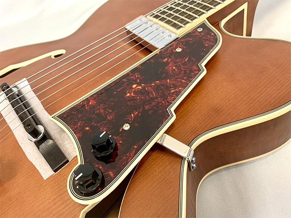 新品 エレキギター フルアコ ディアンジェリコ D'Angelico Premier EXL-1