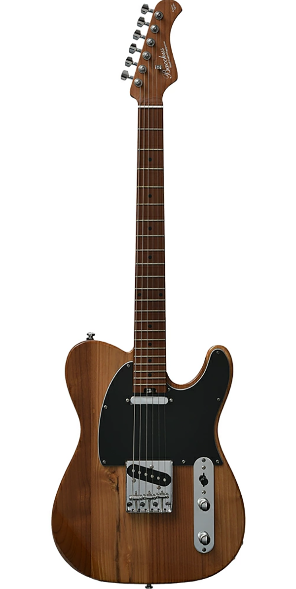エレキギター バッカス Bacchus BTE-ASH25 WRS/M テレキャスター Natural

