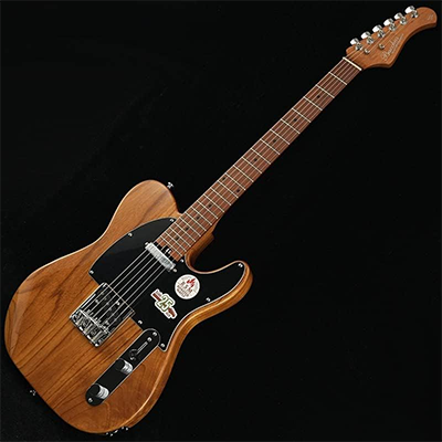 エレキギター バッカス Bacchus BTE-ASH25 WRS/M テレキャスター Natural
