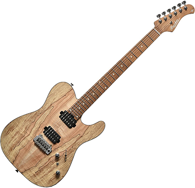 BACCHUS バッカス Japan Tune-up Series TACTICS24-SPM RSM/M NAS エレキギター