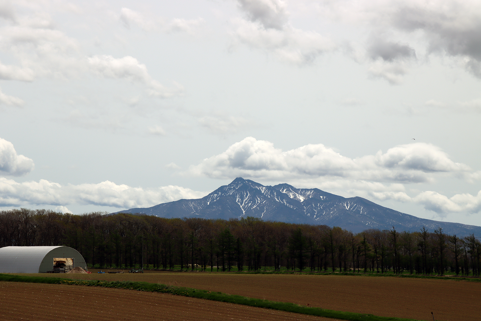 ■今日の斜里岳が雪が減って青い斜里岳という感じです！2025年5月18日