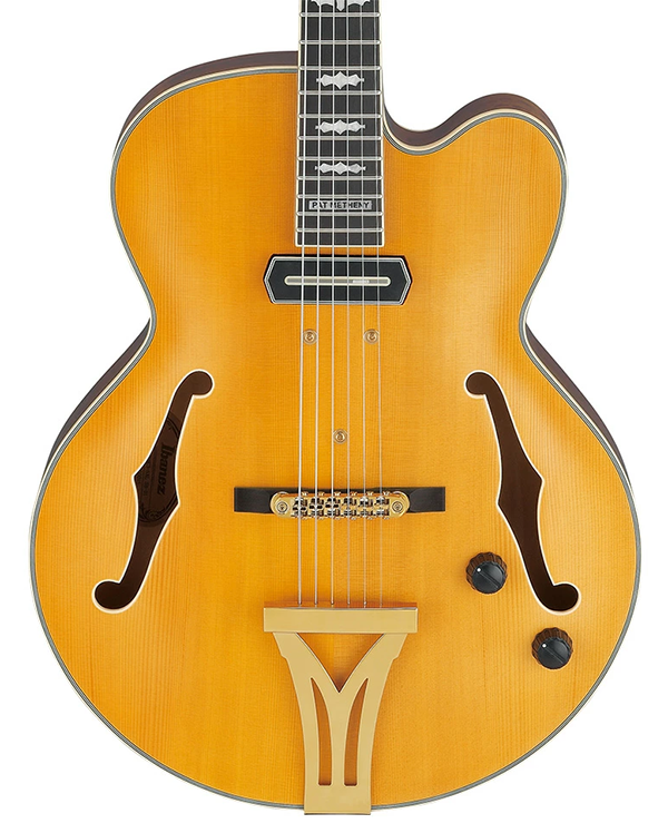 新品 エレキギター フルアコ アイバニーズ Ibanez SIGNATURE MODEL Pat Metheny PM3C-NAL