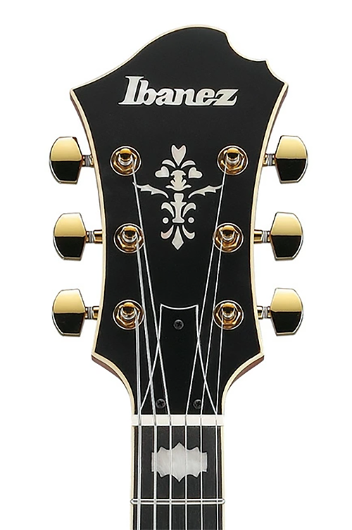 新品 エレキギター フルアコ アイバニーズ Ibanez SIGNATURE MODEL Pat Metheny PM3C-NAL
