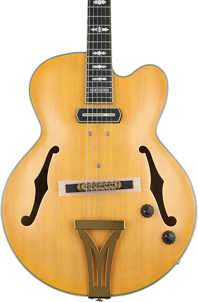 新品 エレキギター フルアコ アイバニーズ Ibanez SIGNATURE MODEL Pat Metheny PM3C-NAL