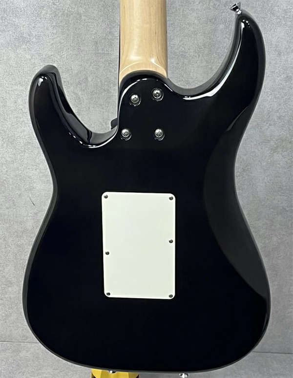 中古 エレキギター シェクター SCHECTER SD-2-24-BW 2013年製