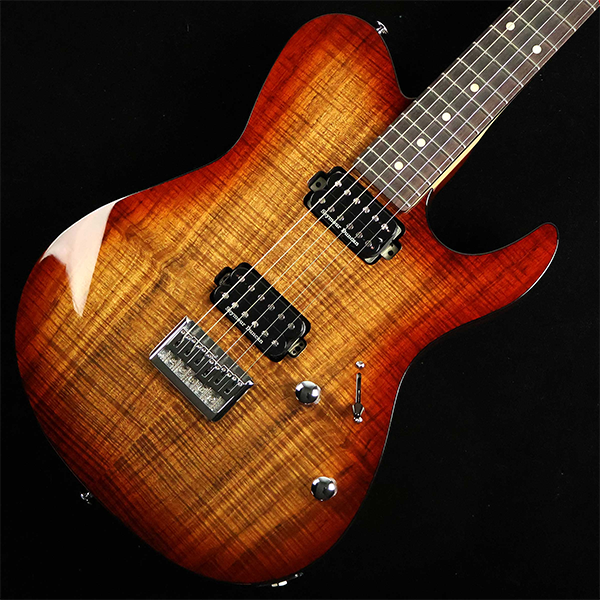新品 エレキギター FUJIGEN フジゲン JIL2-DU-EW2-R ILIAD