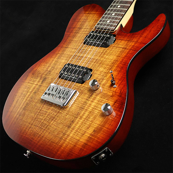 新品 エレキギター FUJIGEN フジゲン JIL2-DU-EW2-R ILIAD