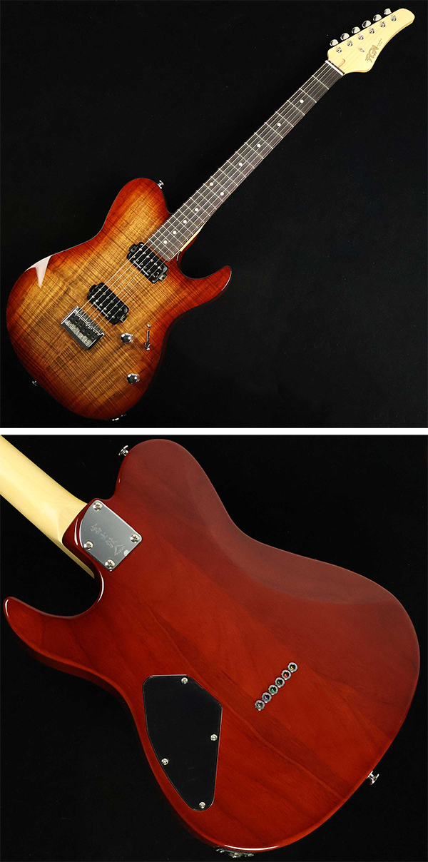 新品 エレキギター FUJIGEN フジゲン JIL2-DU-EW2-R ILIAD