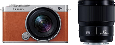 新品 ミラーレス一眼 カメラ Panasonic LUMIX S9 18-40mm 50mm