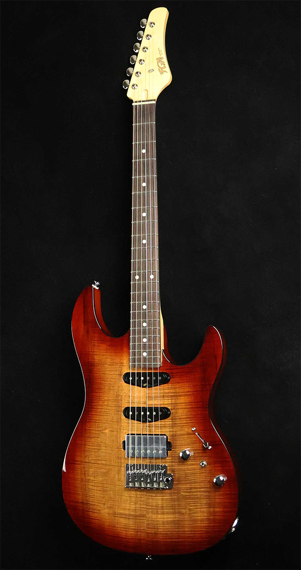 新品 エレキギター フジゲン FUJIGEN JOS2-DU-EW2-R ODYSSEY